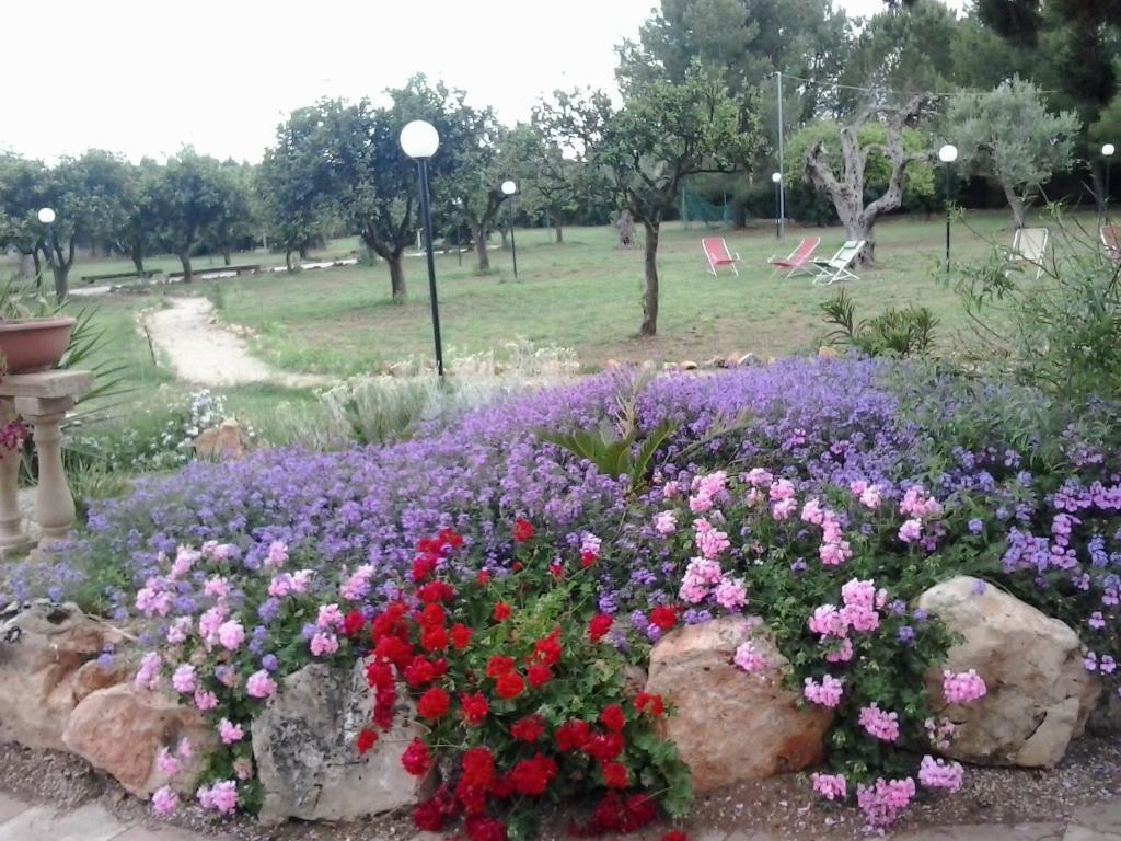 Agriturismo Santa Chiara Alezio Exteriör bild